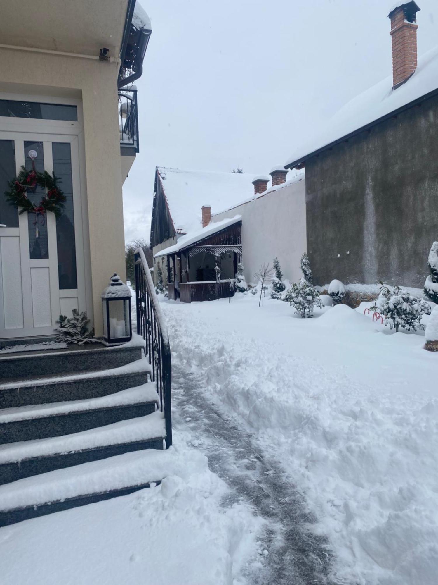 Casa Leny Hotel Tohanu Nou Luaran gambar